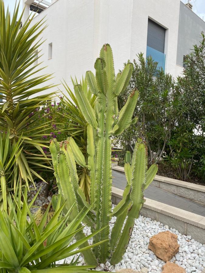 Oasis Beach Apartments Alicante Exterior photo